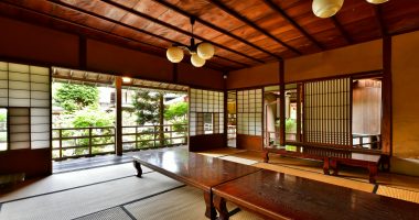 【東京】エリア別高級すっぽん鍋が食べられる有名店3選